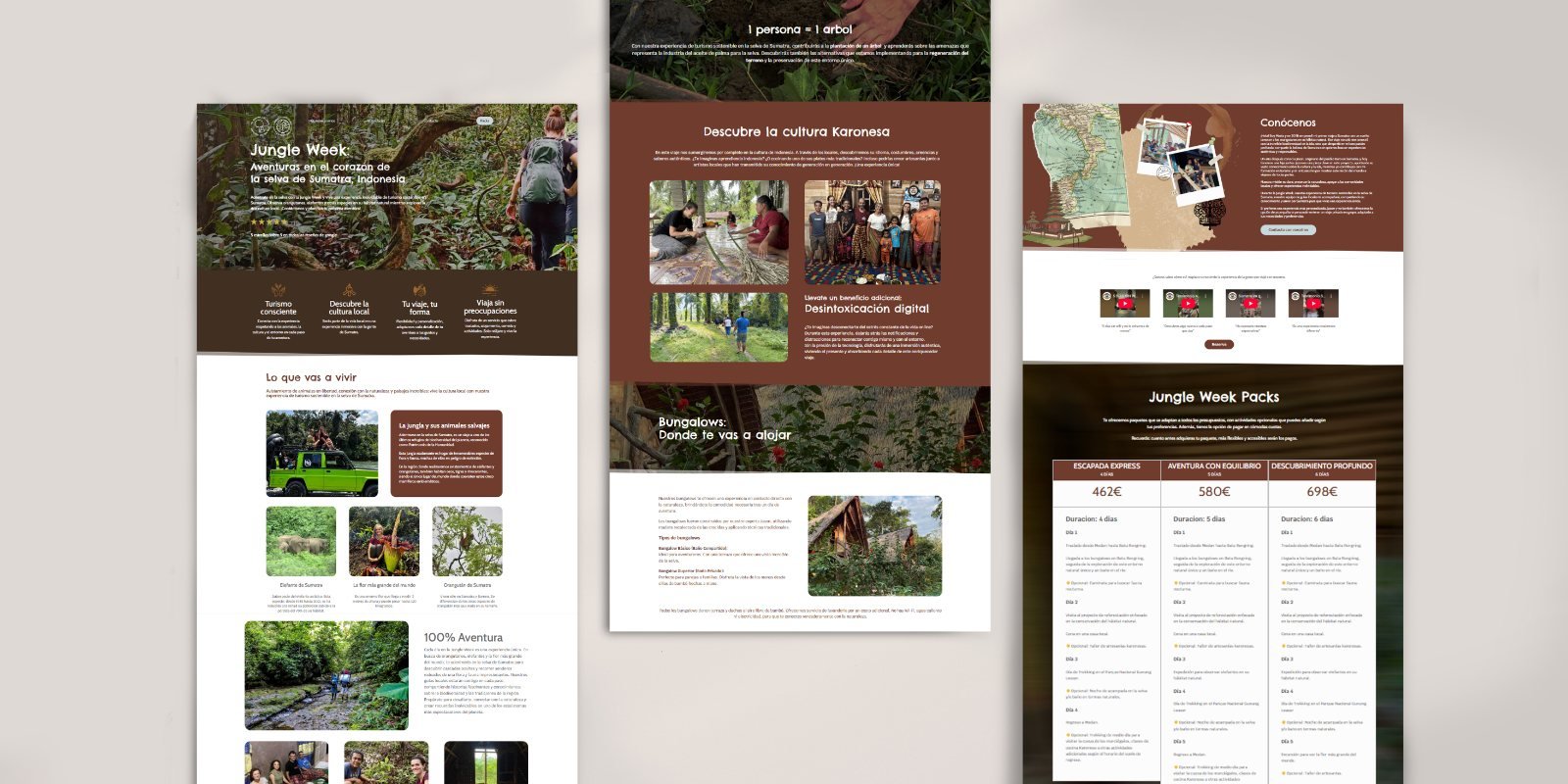 Website pages